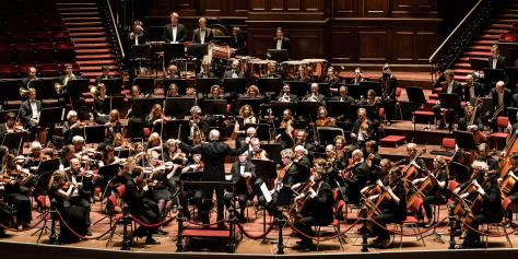 Bellitoni in het concertgebouw